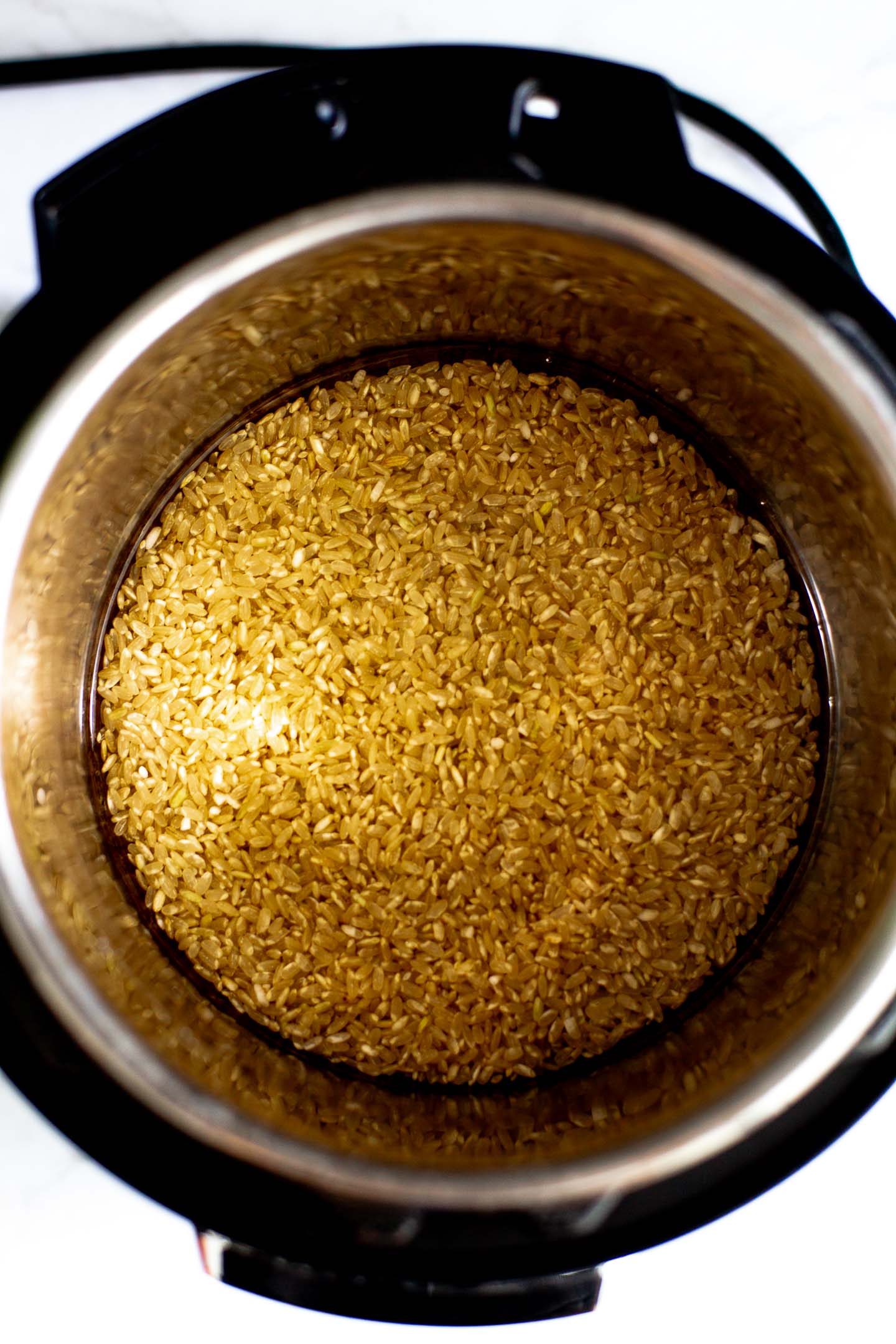 Best Instant Pot Brown Rice Instructions